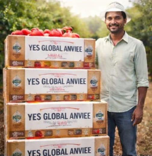 Export Business